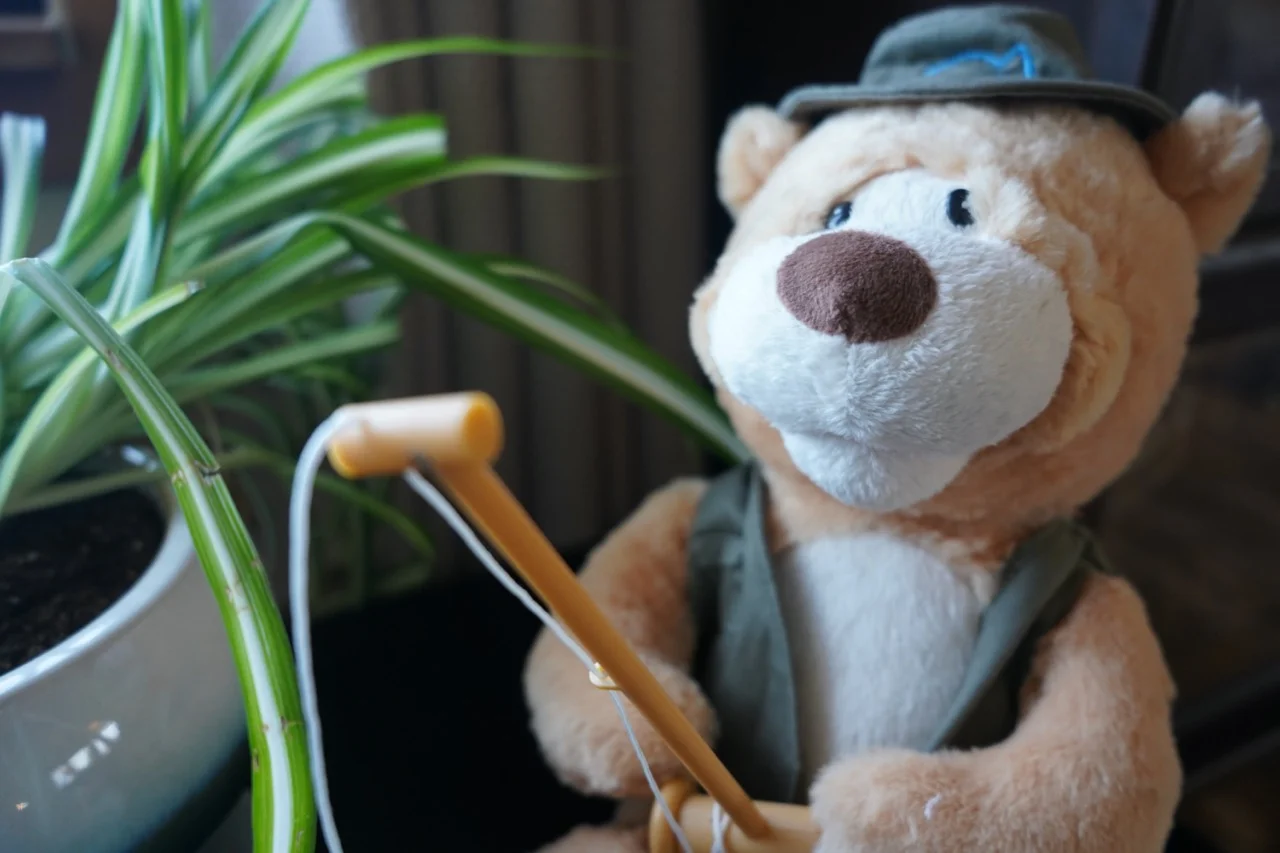 Stuffed bear